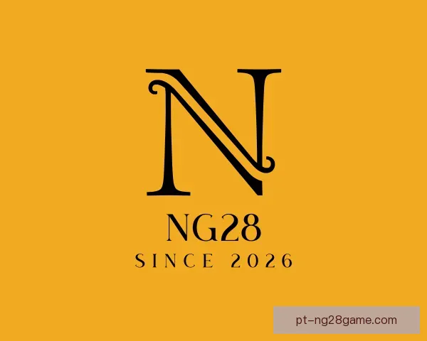 认识NG28
